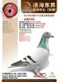 图片暂时未上传