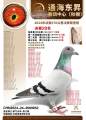 图片暂时未上传