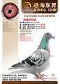 图片暂时未上传