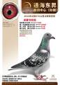 图片暂时未上传
