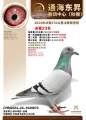 图片暂时未上传