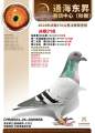 图片暂时未上传
