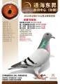 图片暂时未上传