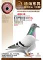 图片暂时未上传