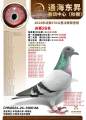 图片暂时未上传