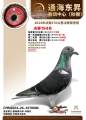 图片暂时未上传