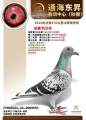 图片暂时未上传