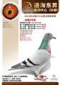 图片暂时未上传