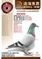 图片暂时未上传