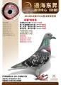 图片暂时未上传
