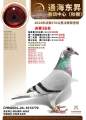 图片暂时未上传