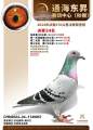 图片暂时未上传
