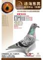 图片暂时未上传