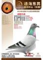 图片暂时未上传