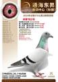 图片暂时未上传