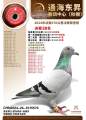 图片暂时未上传