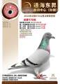 图片暂时未上传