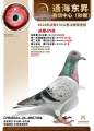 图片暂时未上传