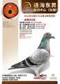 图片暂时未上传