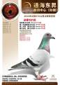 图片暂时未上传