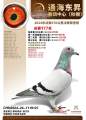 图片暂时未上传