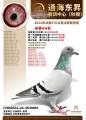 图片暂时未上传