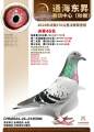 图片暂时未上传