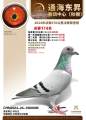 图片暂时未上传