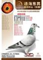图片暂时未上传