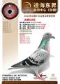 图片暂时未上传