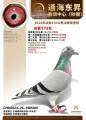 图片暂时未上传