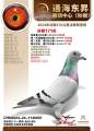 图片暂时未上传