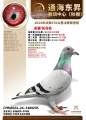 图片暂时未上传