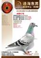 图片暂时未上传