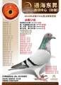 图片暂时未上传