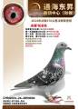 图片暂时未上传