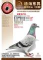 图片暂时未上传