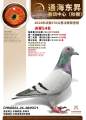 图片暂时未上传