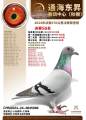 图片暂时未上传