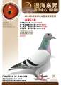 图片暂时未上传
