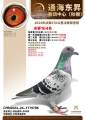 图片暂时未上传