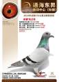 图片暂时未上传