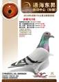 图片暂时未上传