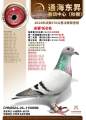 图片暂时未上传