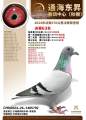 图片暂时未上传