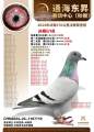 图片暂时未上传