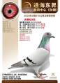 图片暂时未上传