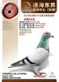 图片暂时未上传