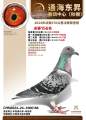 图片暂时未上传