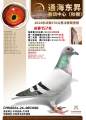 图片暂时未上传
